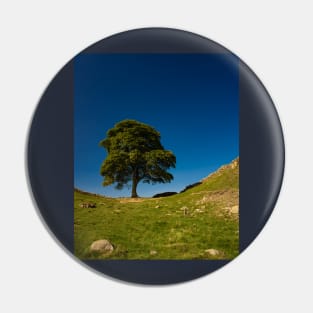 The Sycamore Gap Tree, Hadrian's Wall Pin