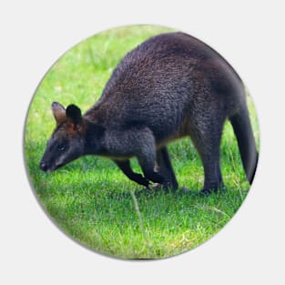 Wallaby on the Hop! Pin