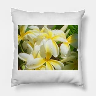 Plumeria after the Rain Pillow