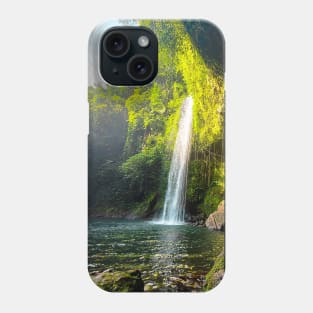 Falls in the Paradise Phone Case