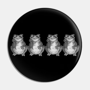 Black and white frog Pin