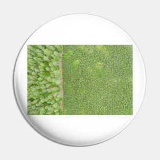 Top down aerial view of green nursery forest bordering with mature forest Pin