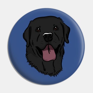 Black Lab Pin