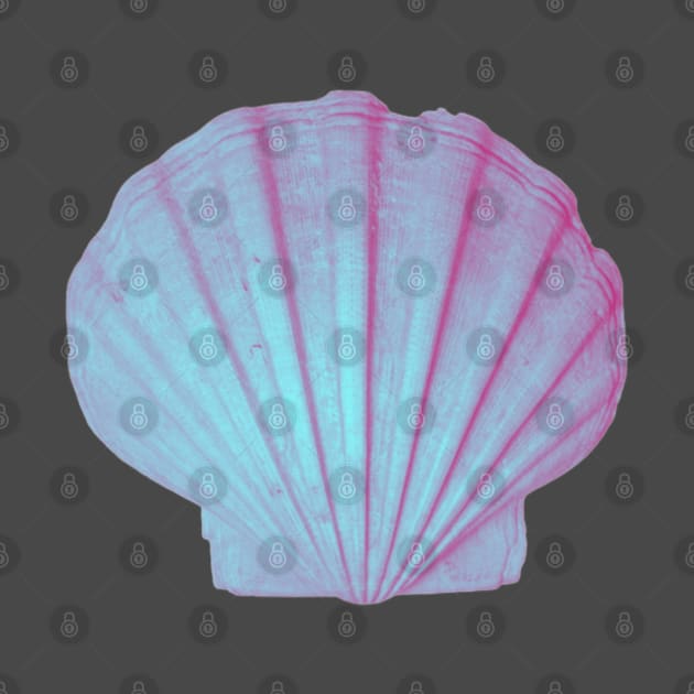 sea shell print by artbleed