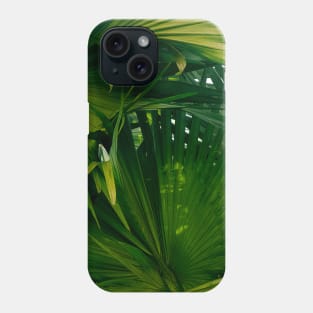 Palm tree - tropical green - nature photography Phone Case