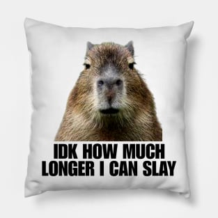 Idk How Much Longer I Can Slay Capybara Sarcastic Dank Meme Shirt Edgy Meme Quote Funny Meme Pillow