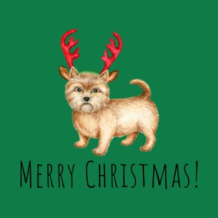 Cute Norwich terrier , Christmas dog T-Shirt