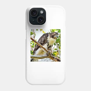 Red Tailed Hawk Phone Case