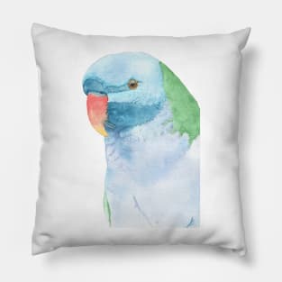 Red-breasted parakeet Pillow