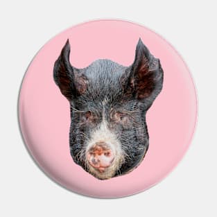 Pigs head Pin