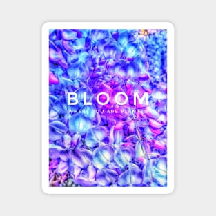 Bloom where you are planted Magnet