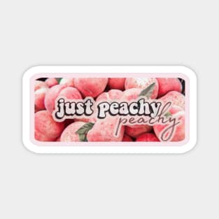 Peachy preach milk feminine cute kawaii pink vintage retro aesthetic beautiful dream love romantic Magnet