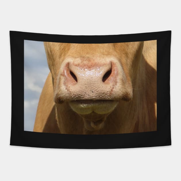 Moo Snout 3 Tapestry by AH64D