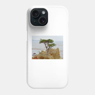 Lone Cypress Study 1 Phone Case