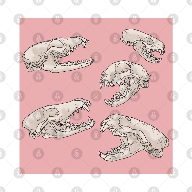 North American Predator Skulls Pink by TrapperWeasel