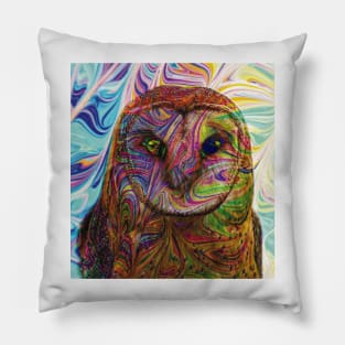 Colourful Wisdom Pillow