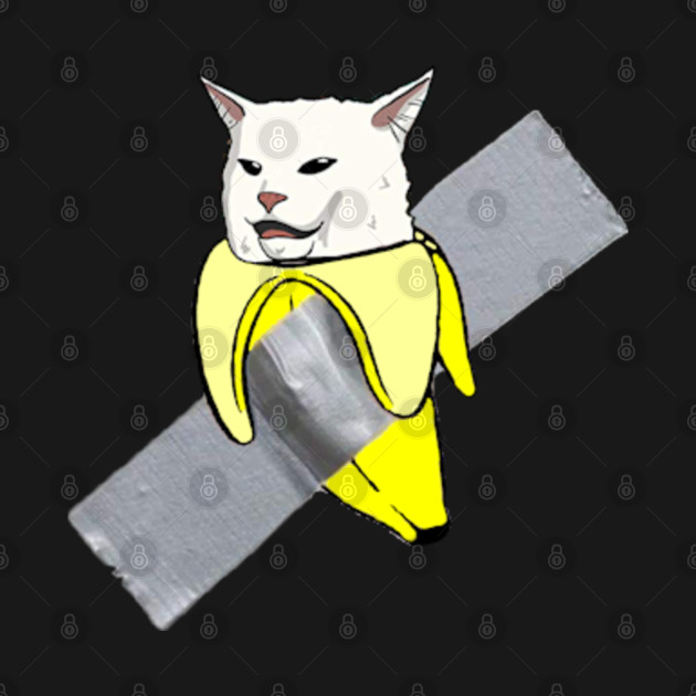 funny cat meme and the Banana ducttaped to the wall Banana Duct