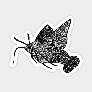 Hummingbird Hawk-Moth - flying insect design - on white Magnet
