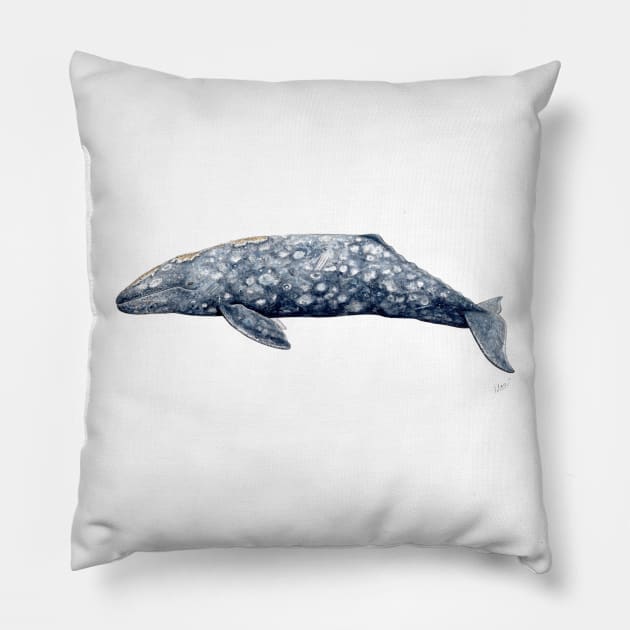 Grey whale Pillow by chloeyzoard
