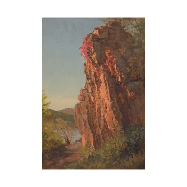 Landscape with Large Rock, possibly North Carolina by Frederic Edwin Church by Classic Art Stall