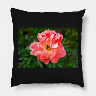 Coral peony flower Pillow