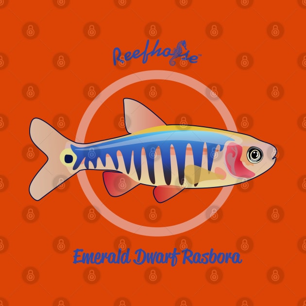 Emerald Dwarf Rasbora by Reefhorse