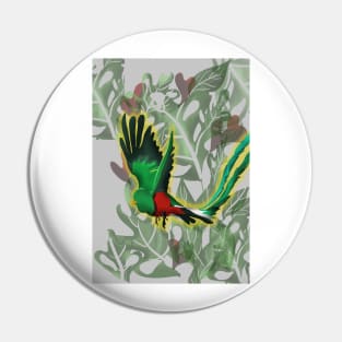 Quetzal Pin