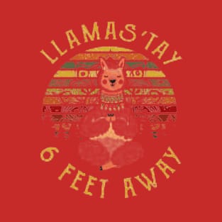 Llamast'ay 6 T-Shirt