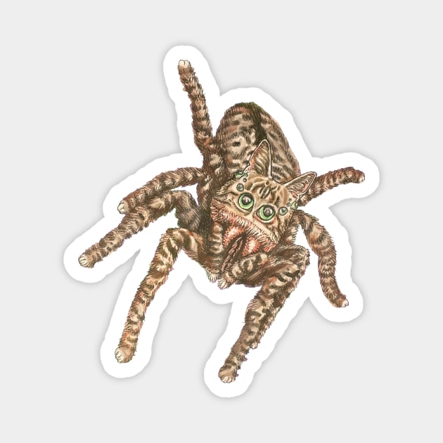 Jumping Spider Tabby Magnet by RaLiz