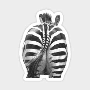 Black and White Zebra Tail Magnet