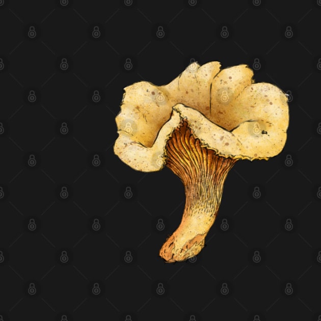 Chanterelle by Sosnitsky