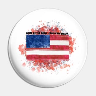 America Pin