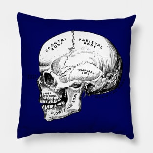 skull - anatomy Pillow