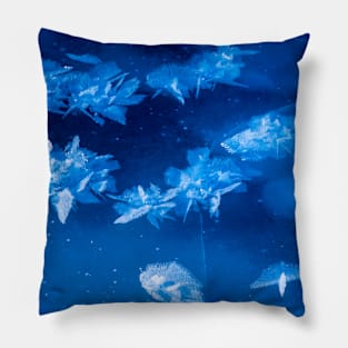 Ice crystals in ice Pillow