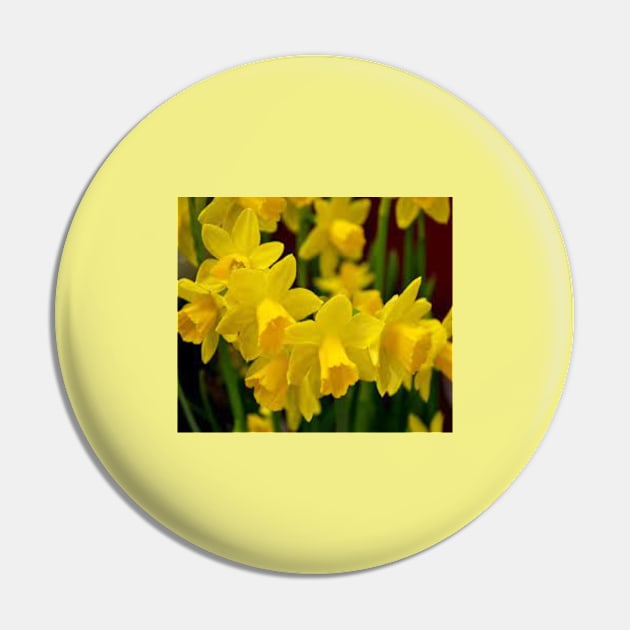 Daffodils relate to Easter and spring Pin by Designs and Dreams