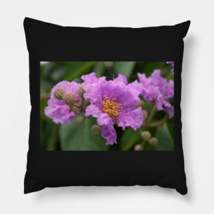 Flowers in Vientiane - Laos Pillow