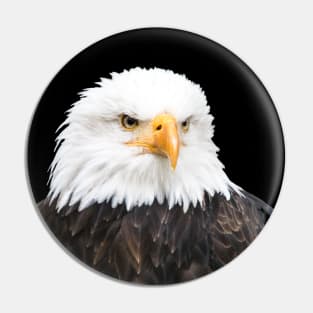 Bald eagle Pin