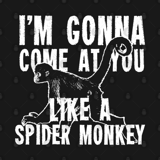 I'm Gonna Come at you like a Spider Monkey by hauntedjack