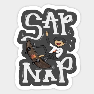 Sapnap Minecraft Skin Sticker | Postcard