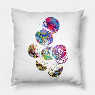 Staphylococcus aureus Pillow