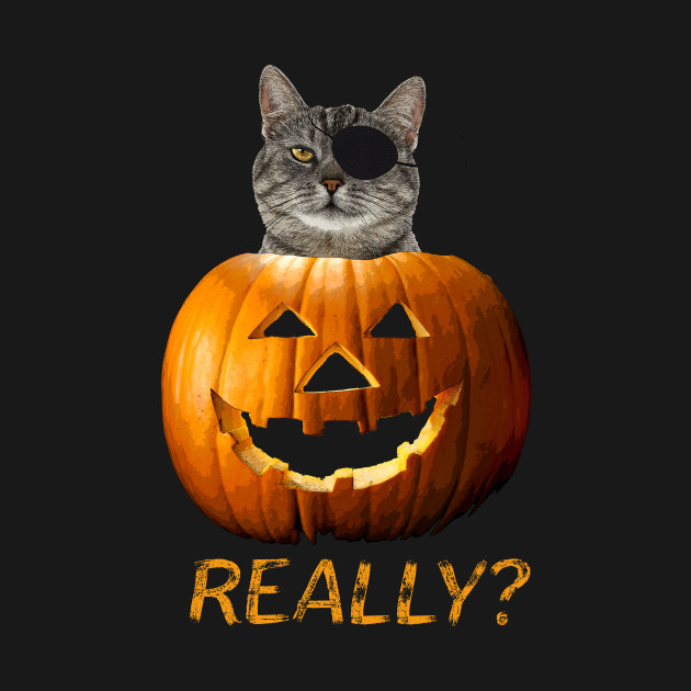 Halloween Trick Treat Cat Jack O Lantern Cat Jack O Lantern
