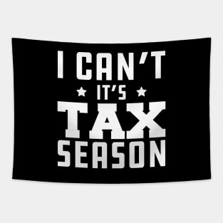 Tax Accountant - I can't It's tax season w Tapestry