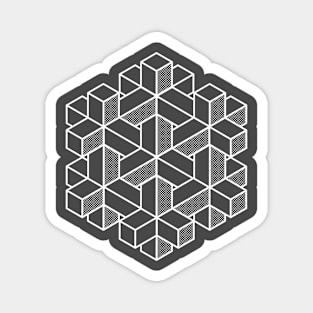 Impossible Hexagon Magnet