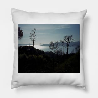 Angel Island Pillow