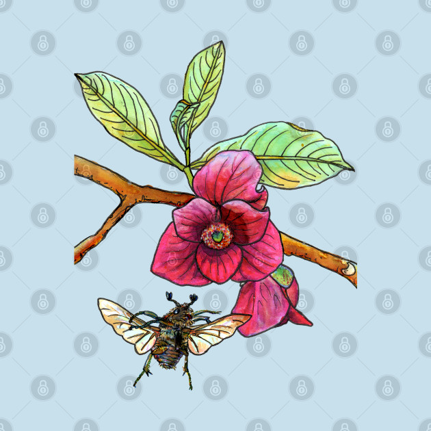 Pawpaw and Bumble Beetle - Nature Drawing - Phone Case