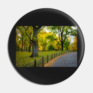 Fall Path in the Park Pin