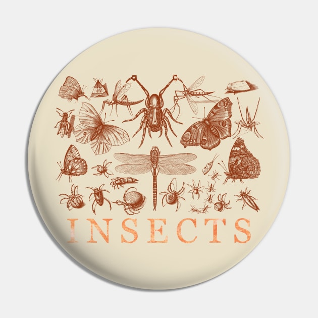 Insects Pin by Heartsake