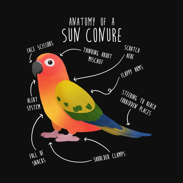 Sun Conure Parrot Anatomy by Psitta