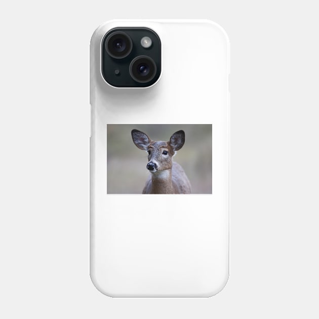 So forlorn - White-tailed Deer Phone Case by Jim Cumming