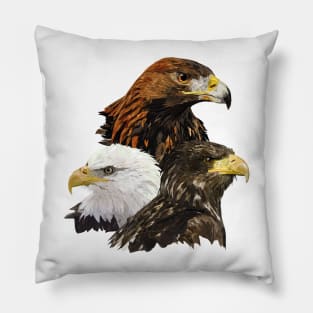 Royal Eagle and Pigargos Pillow